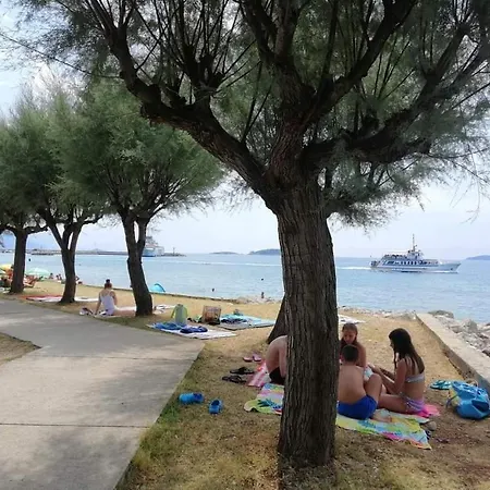 Apartments Frano I Franka By The Sea Orebic